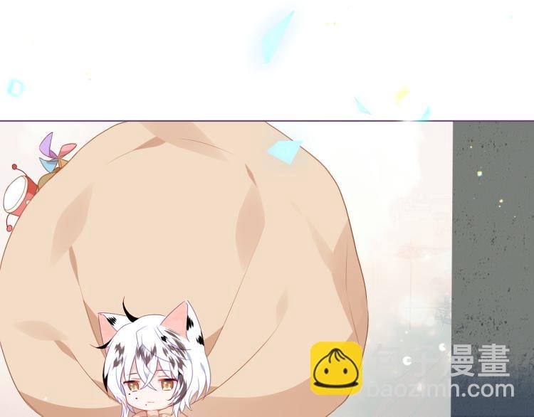 番外 无夜城的一只猫