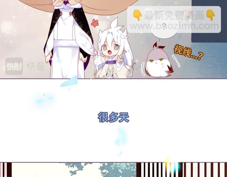 番外 无夜城的一只猫
