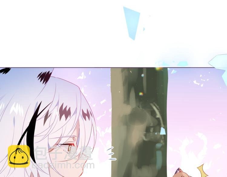 番外 无夜城的一只猫