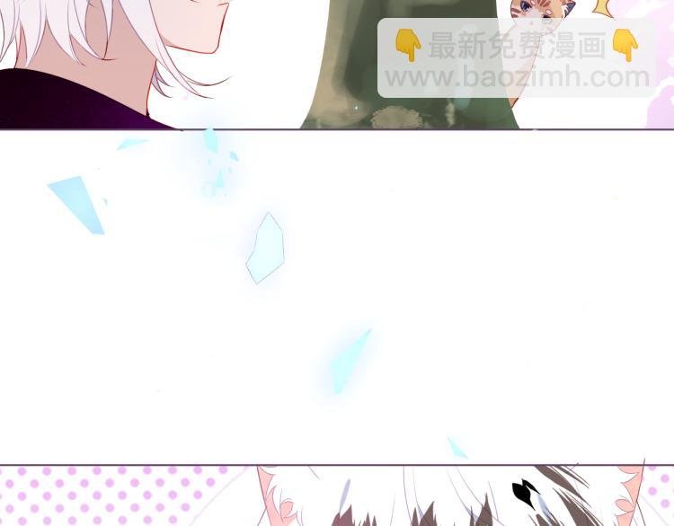番外 无夜城的一只猫