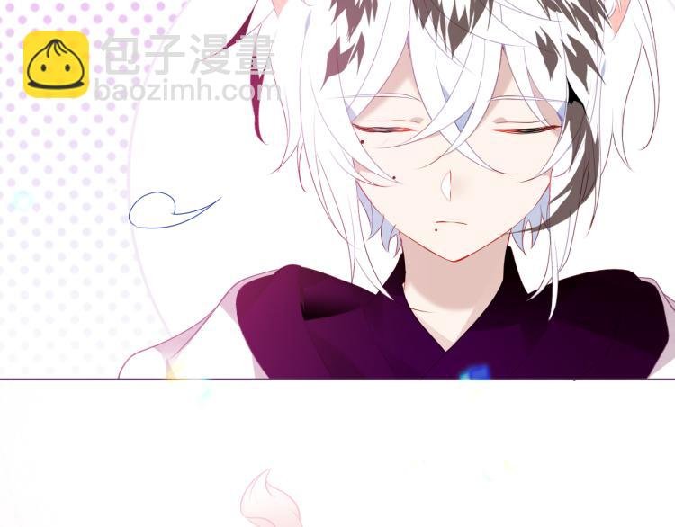 番外 无夜城的一只猫