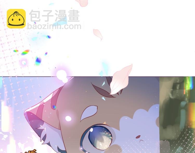 番外 无夜城的一只猫