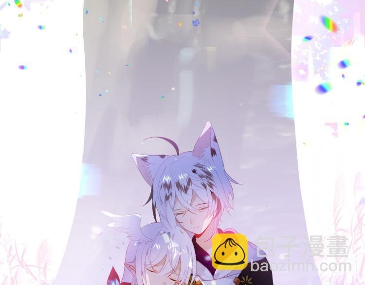 番外 无夜城的一只猫