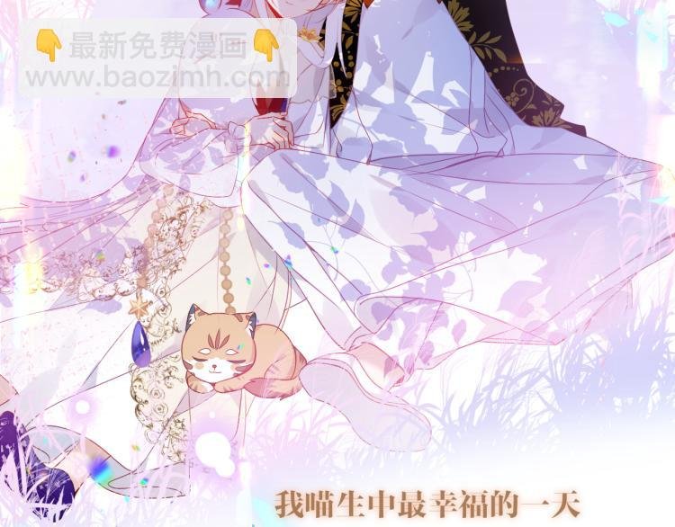 番外 无夜城的一只猫