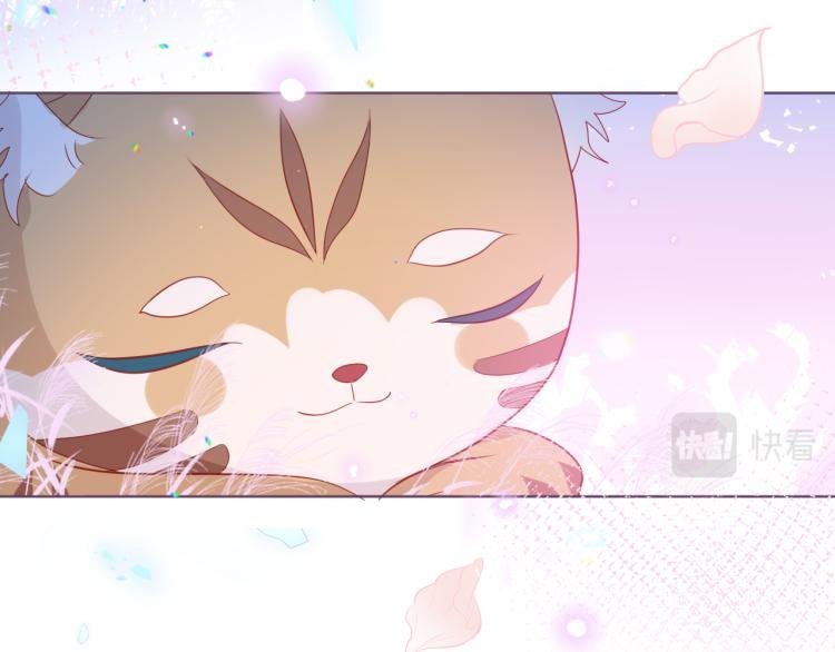 番外 无夜城的一只猫