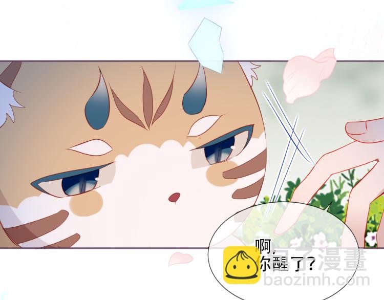 番外 无夜城的一只猫