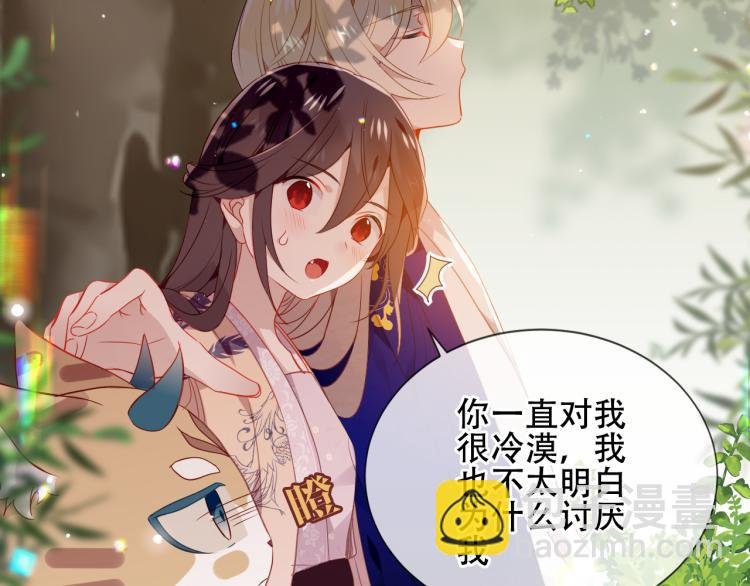 番外 无夜城的一只猫