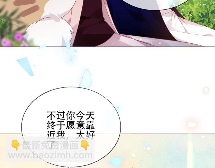 番外 无夜城的一只猫