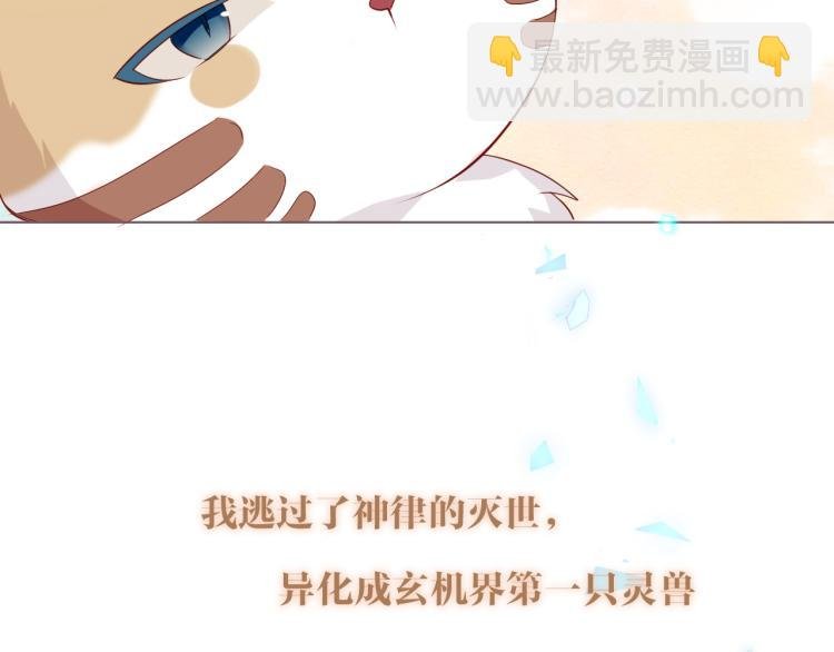 番外 无夜城的一只猫
