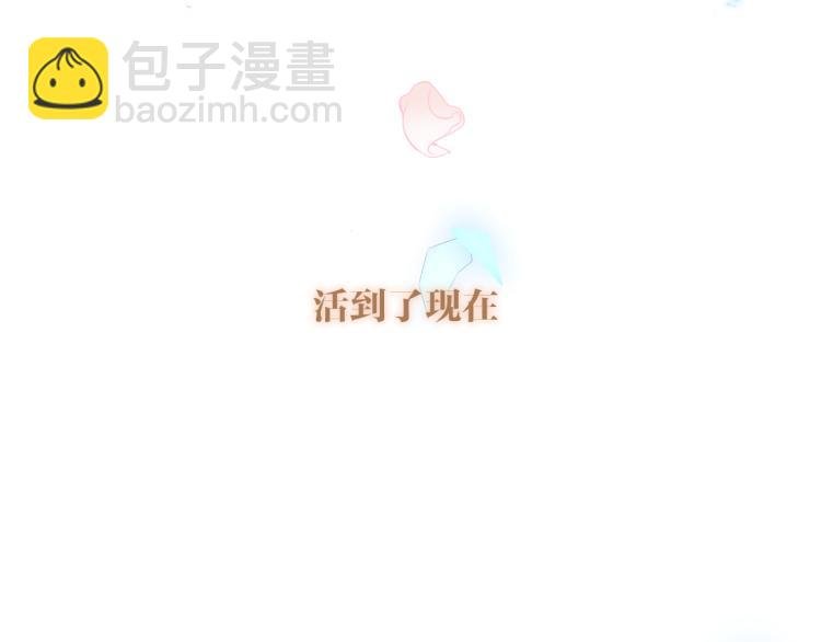 番外 无夜城的一只猫
