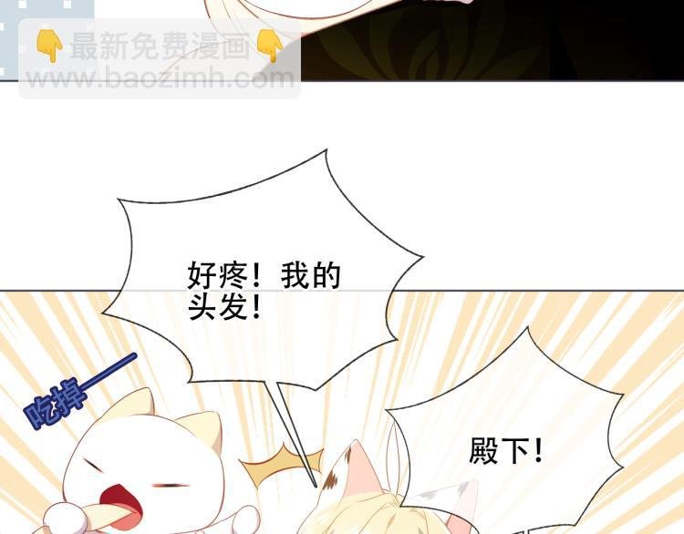 番外 聆与杏（上）