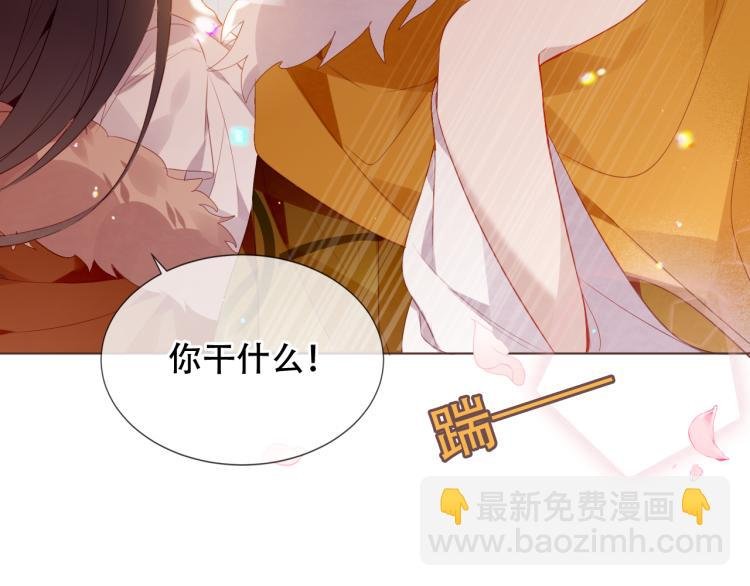 番外 聆与杏（下）