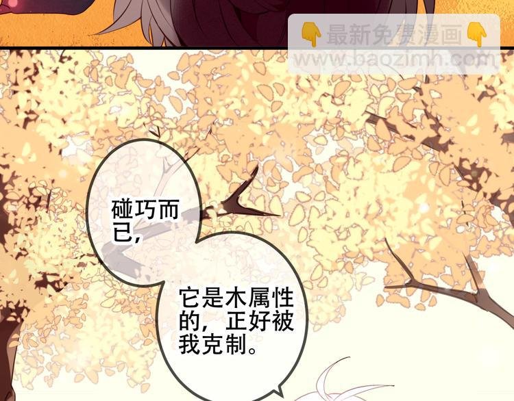 第31话 凰炎国的流行