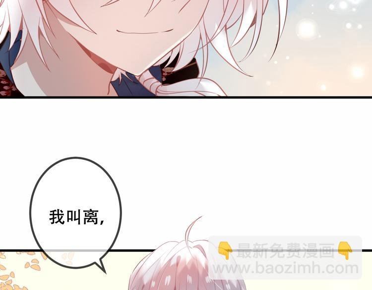 第31话 凰炎国的流行