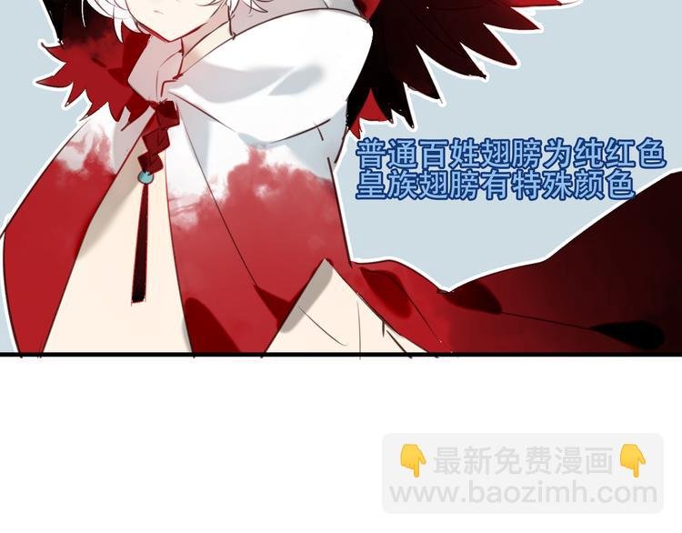 特别篇之吾凰百科