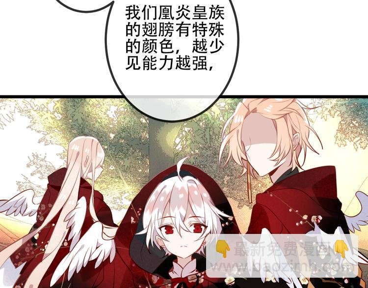 第42话 被处死的理由
