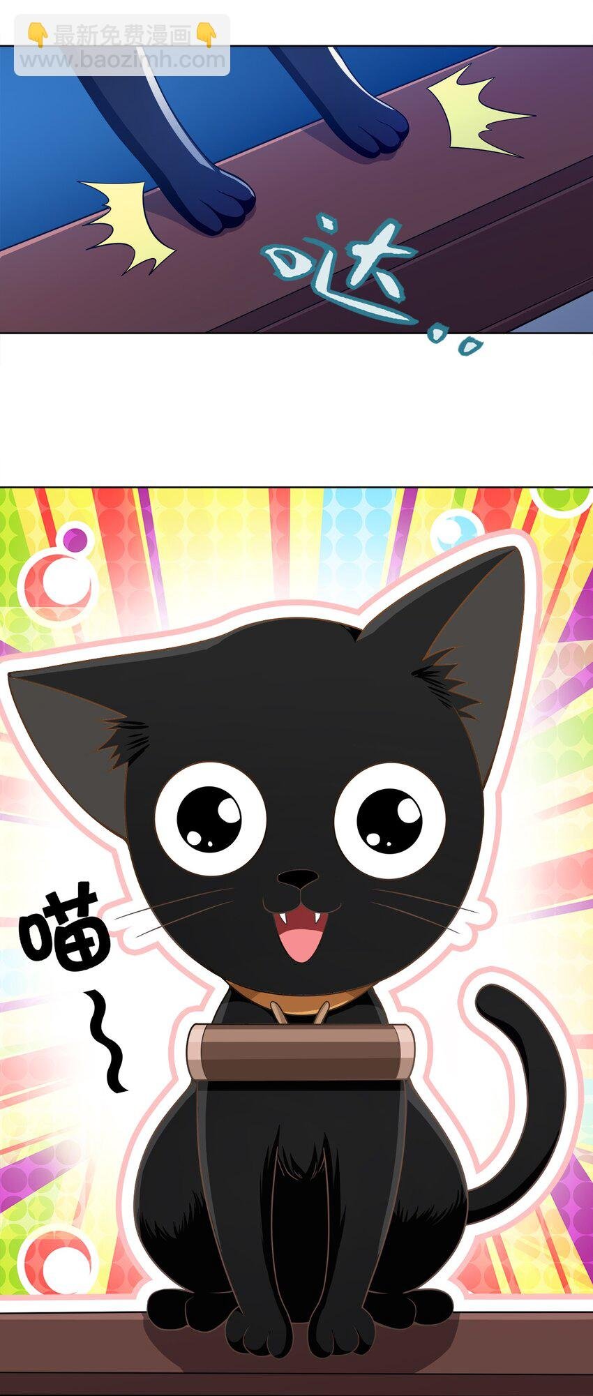 029 信猫