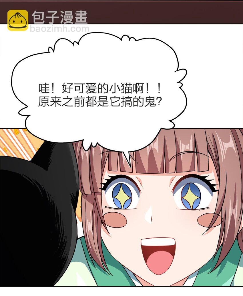 029 信猫