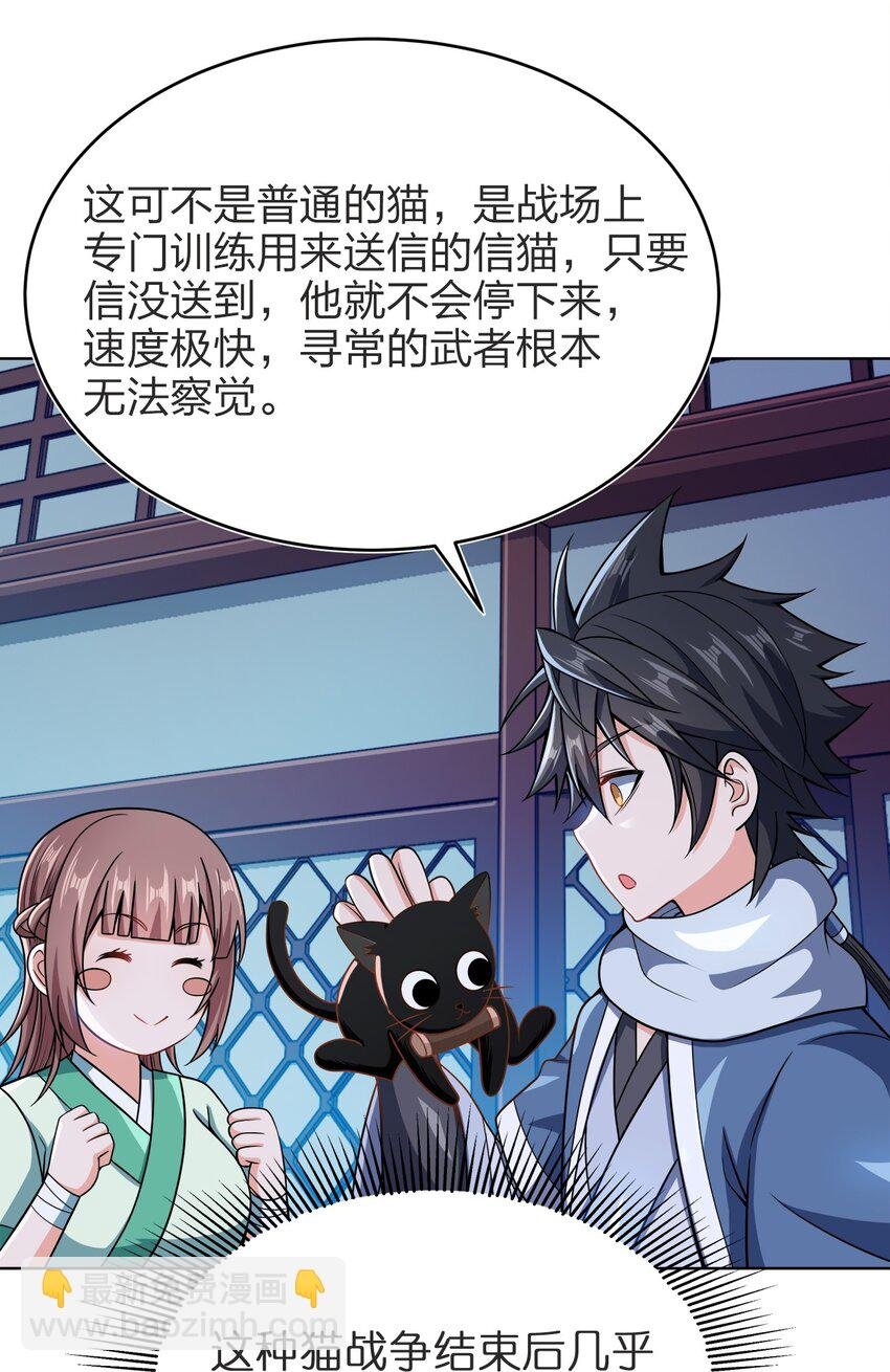 029 信猫