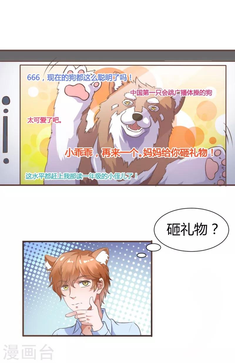 第13话 萌宠直播秒变秀恩爱