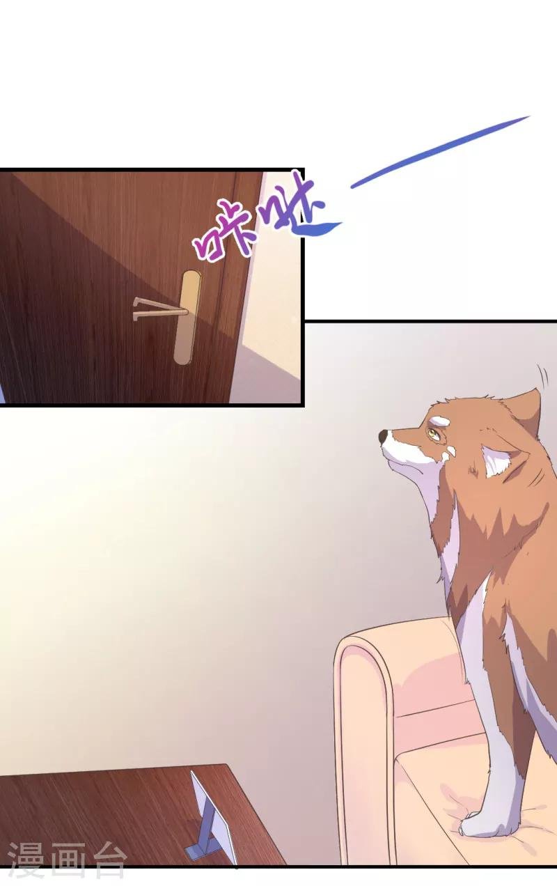 第13话 萌宠直播秒变秀恩爱