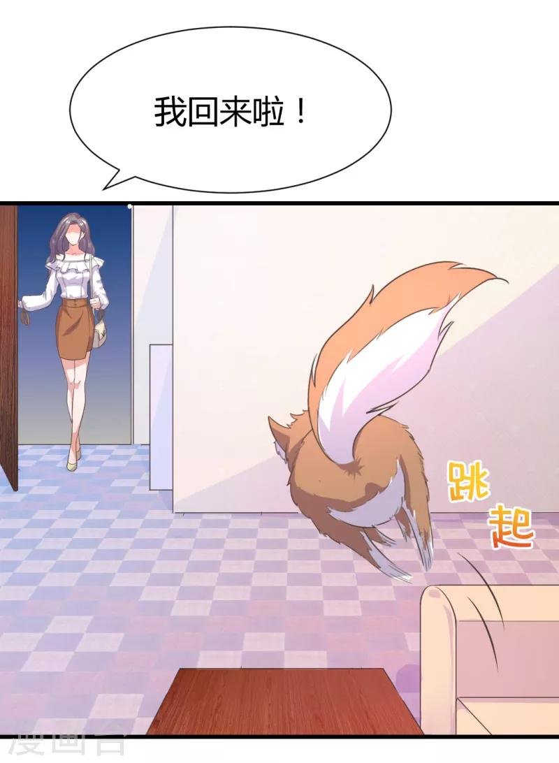 第13话 萌宠直播秒变秀恩爱