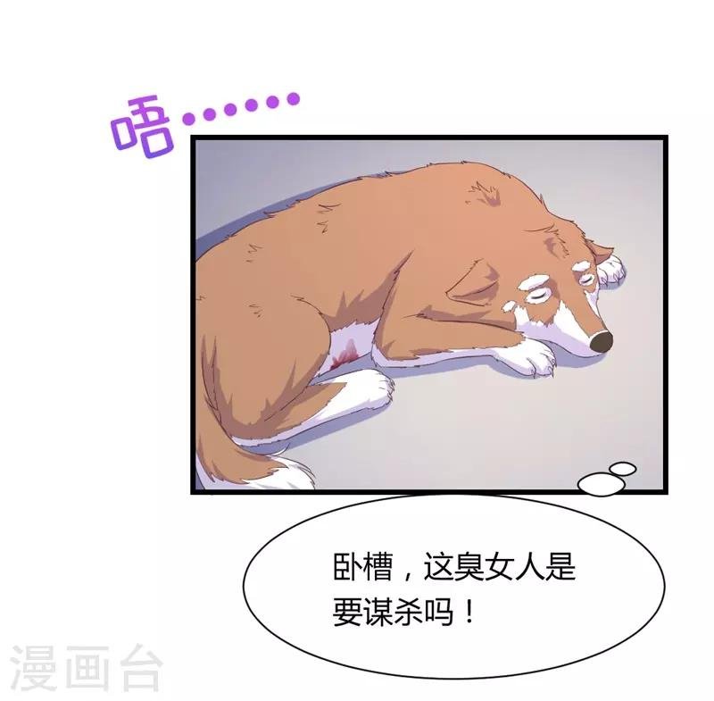 第15话 敢欺负我的狗？！