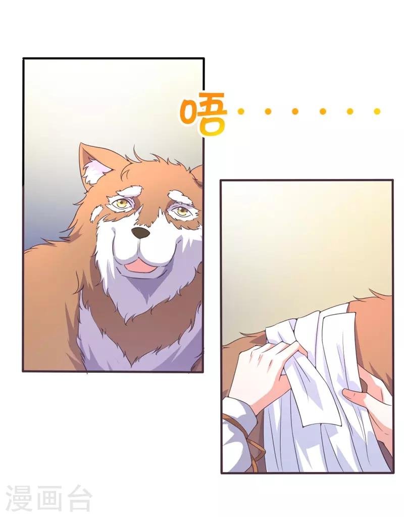 第15话 敢欺负我的狗？！