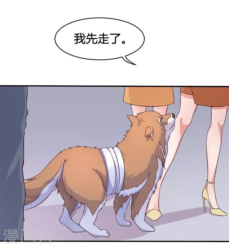 第15话 敢欺负我的狗？！