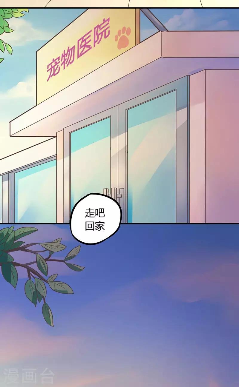 第7话 勉强收养你吧