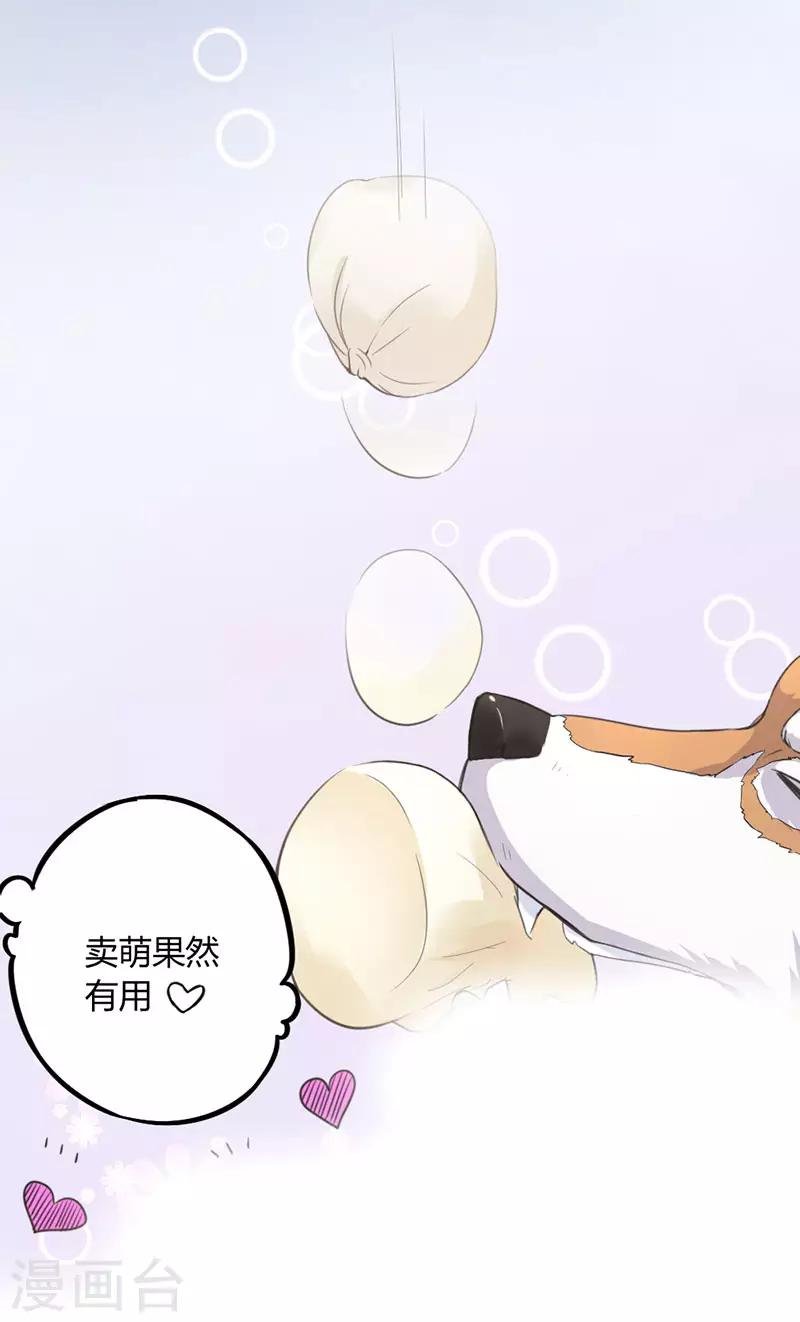 第7话 勉强收养你吧