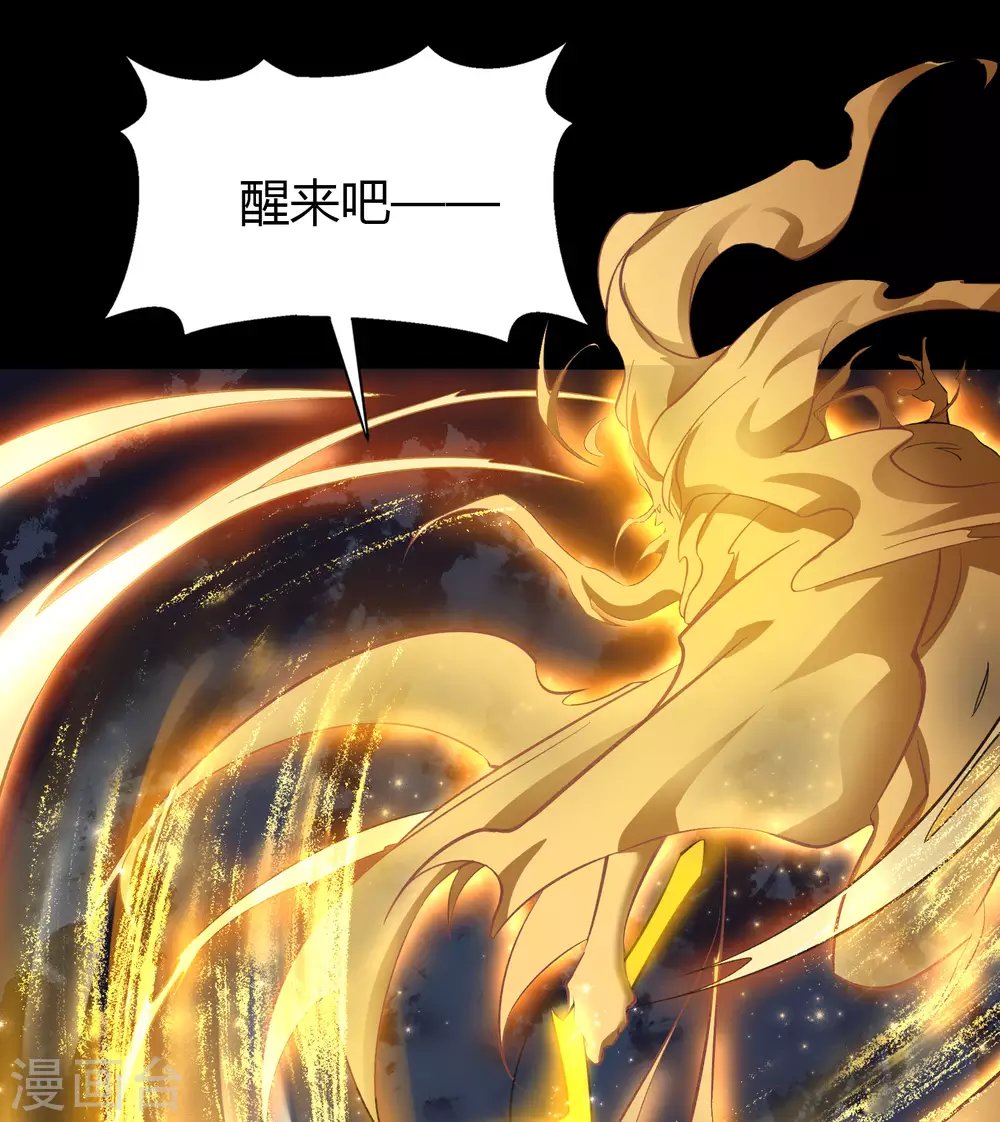 第102话 燃烧元魂
