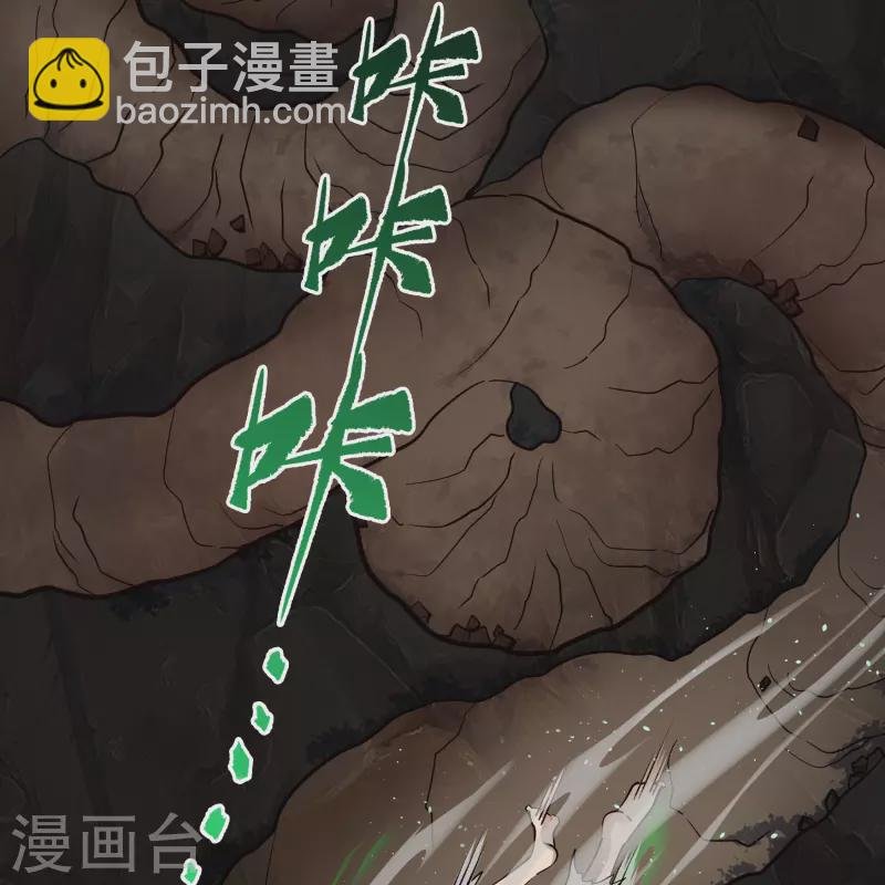 第119话 龟壳翻滚