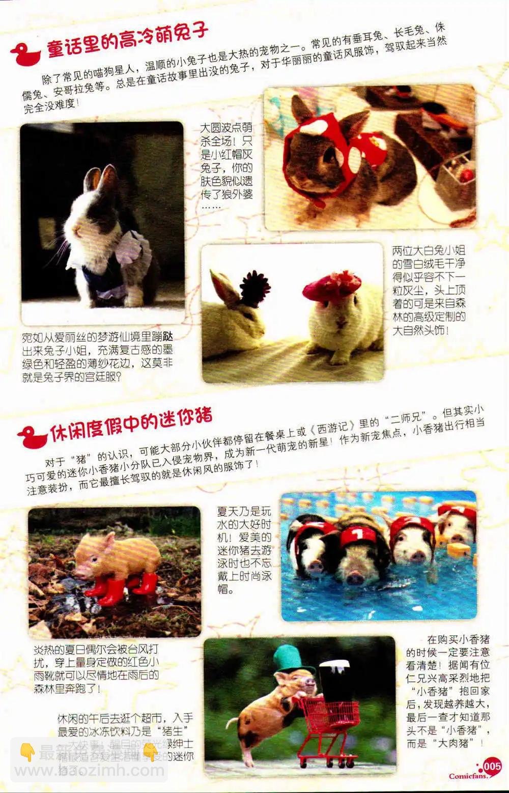 第369期 全本