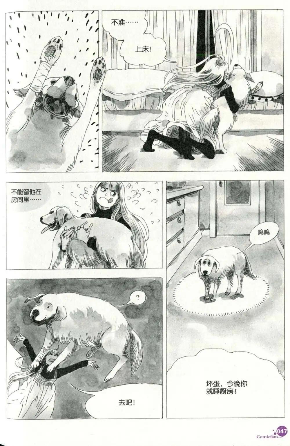 第375期 全本