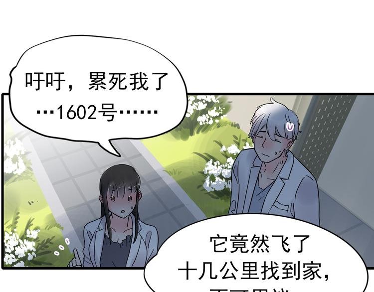 第3话 蝴蝶夫人（三）