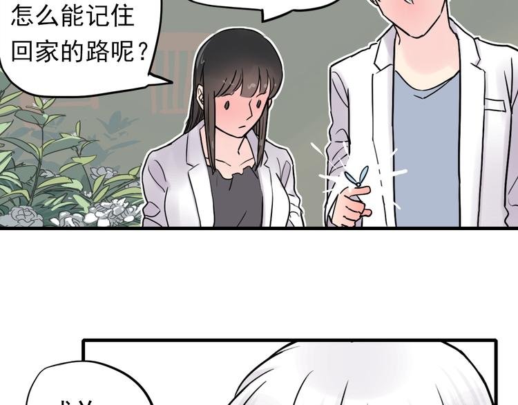 第3话 蝴蝶夫人（三）