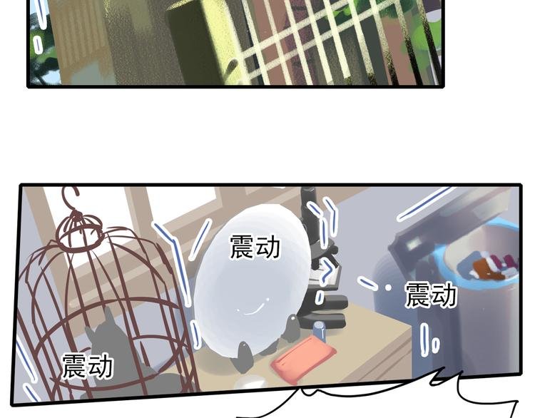 第3话 蝴蝶夫人（三）