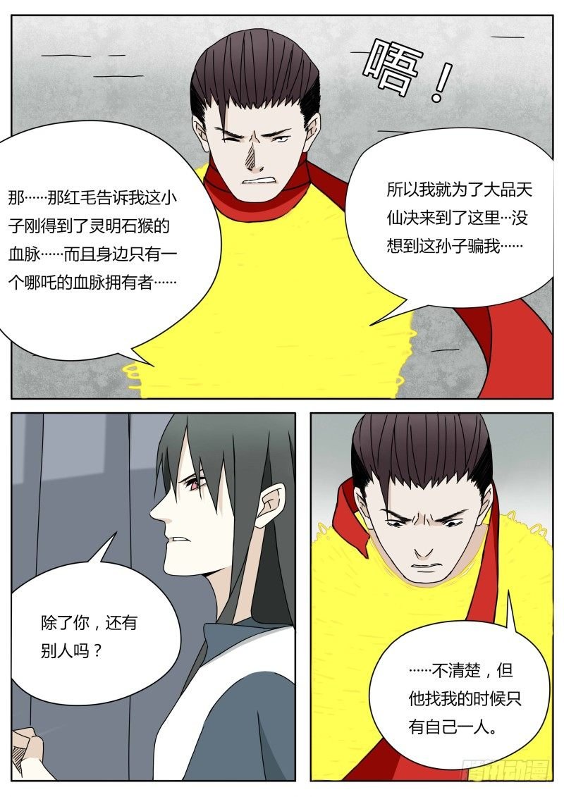 小白鼠
