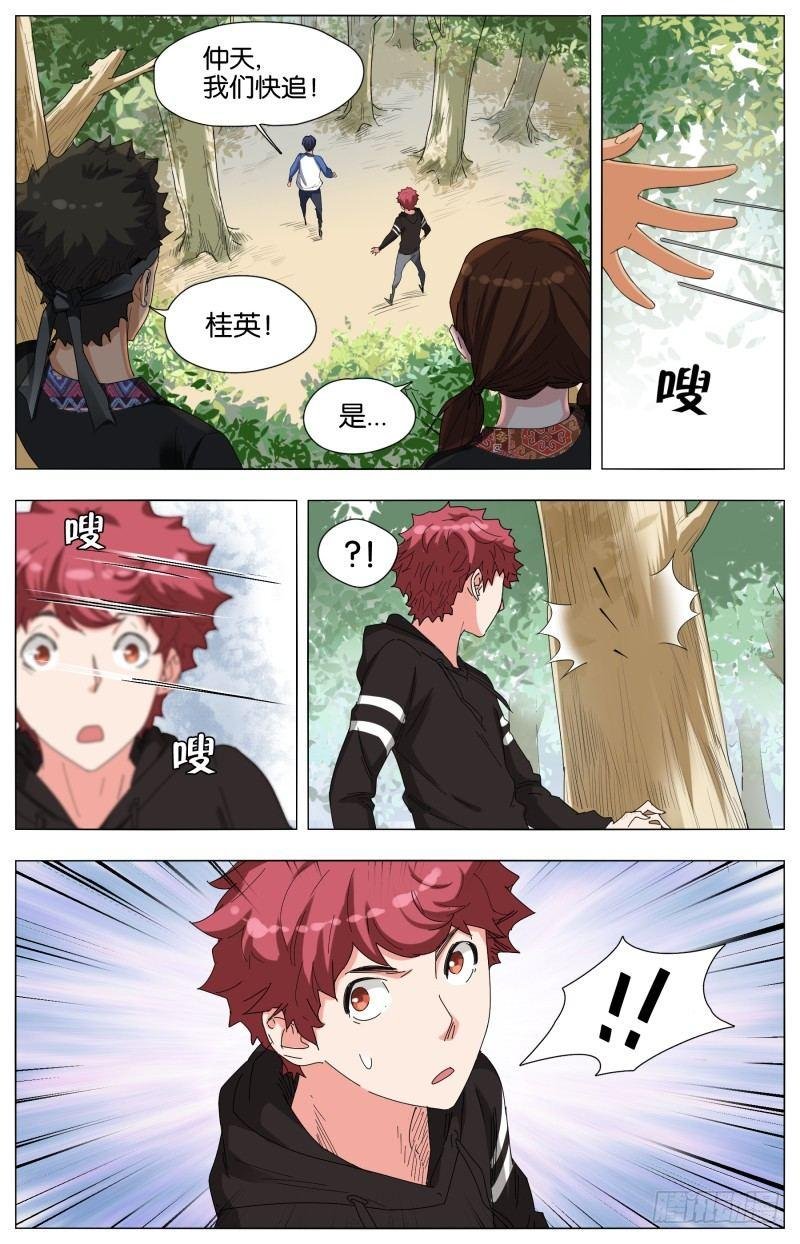 迷幻森林（2）