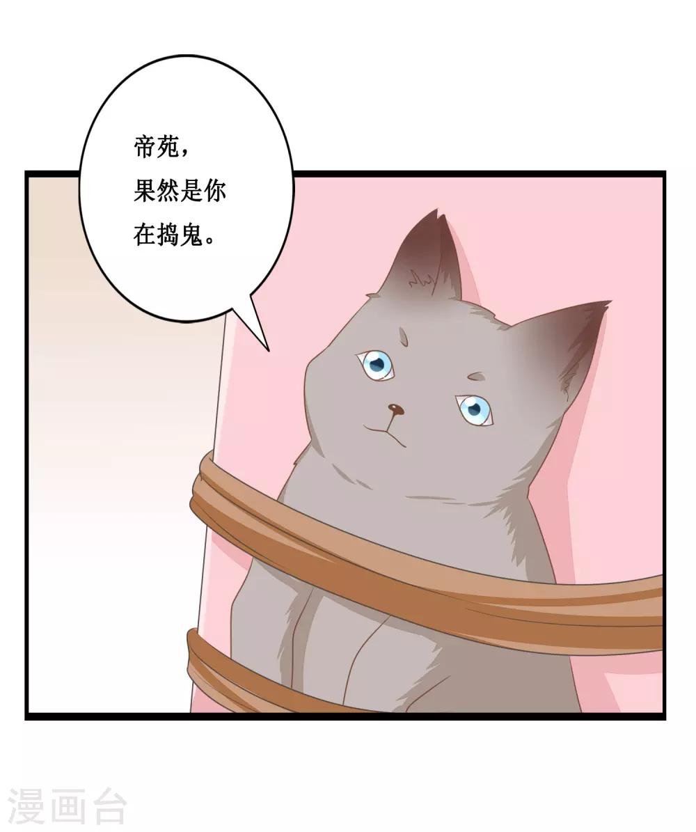 第23话 你动心了吗？
