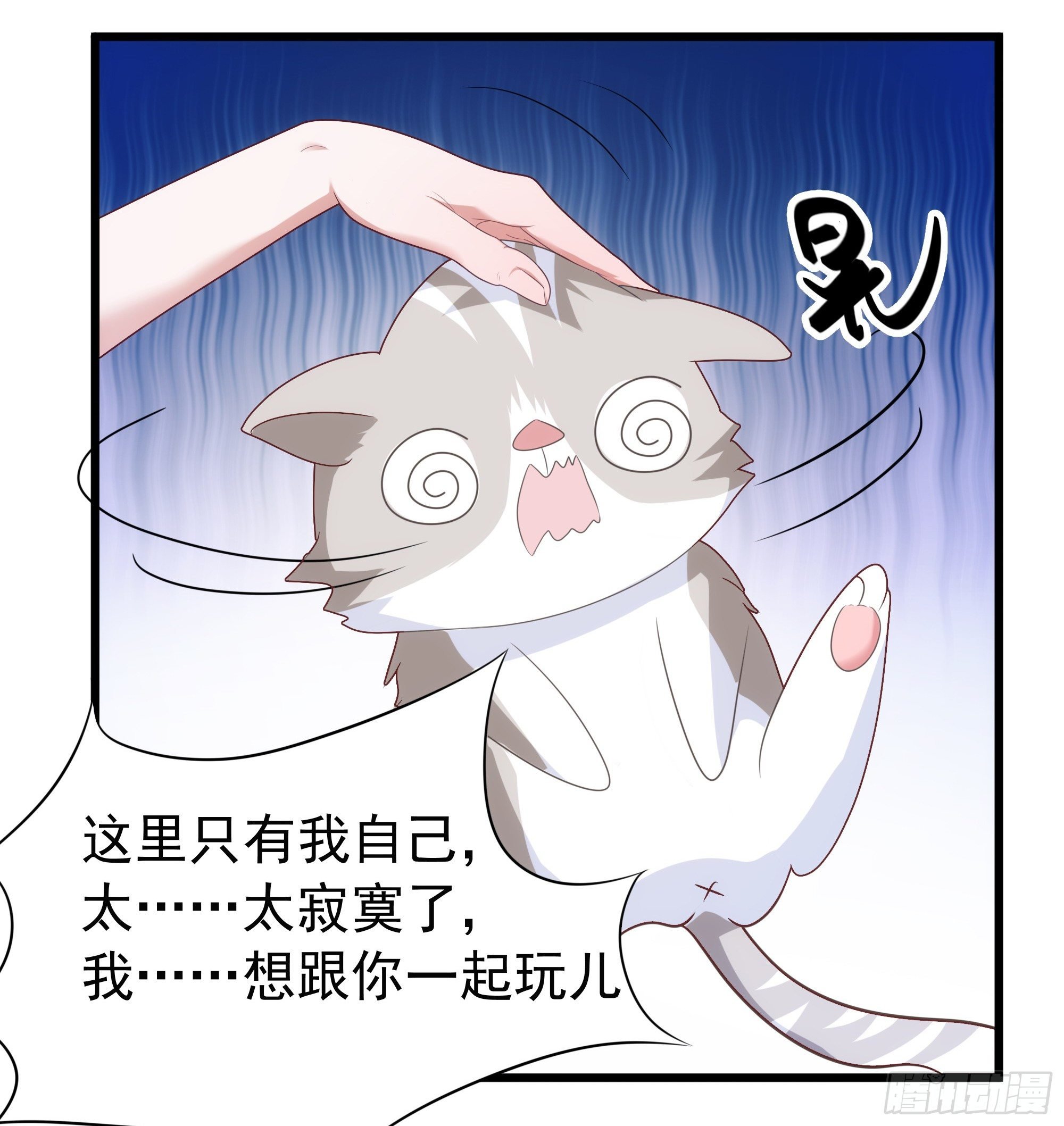 006能给我找个老婆么