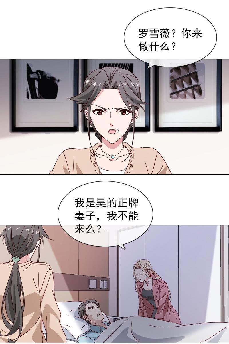 罗雪薇的阴谋