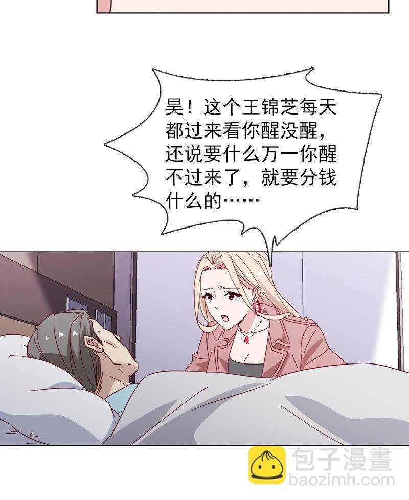罗雪薇的阴谋