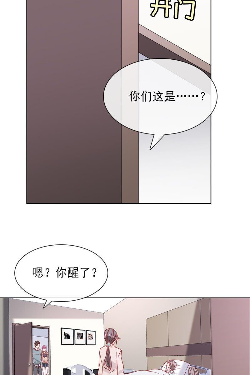 罗雪薇的阴谋
