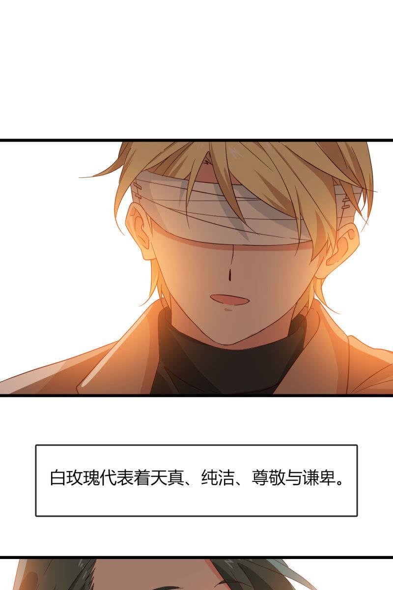 花语