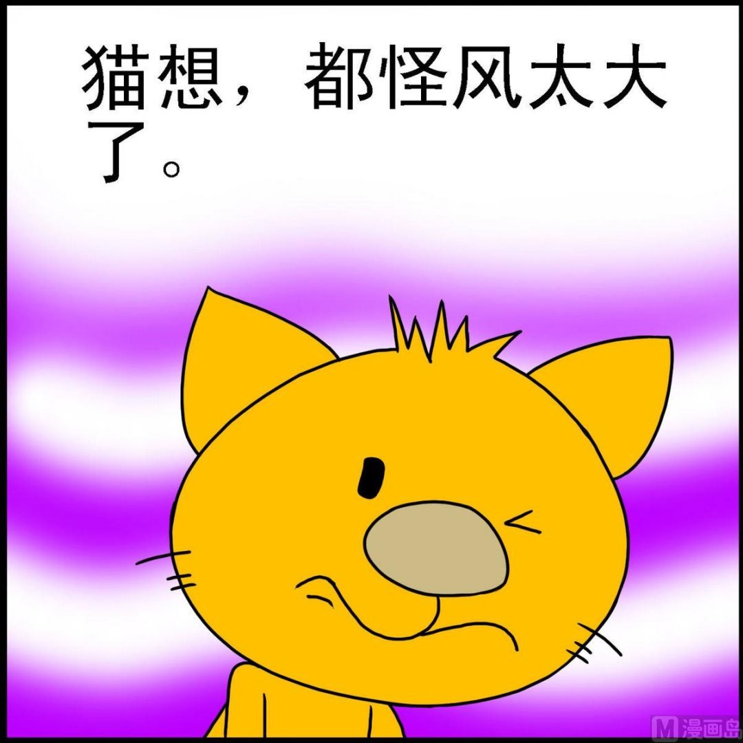第11话 猫和老鼠3