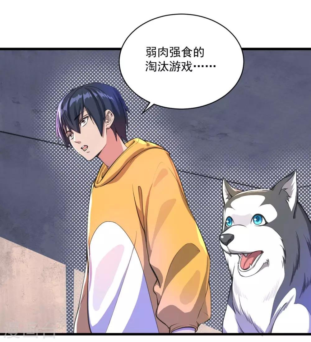 第17话 盘古公司
