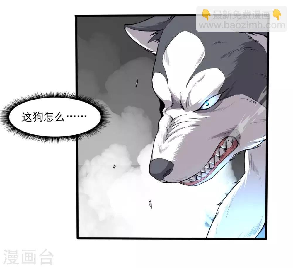 第17话 盘古公司