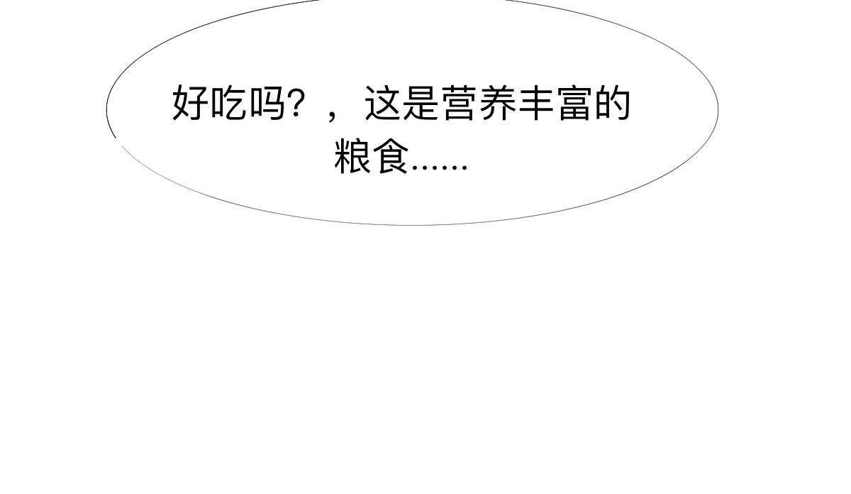 糌粑